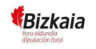 LOGO DIPUTACION VIZCAYA