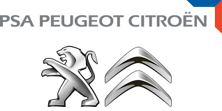 LOGO-PSA