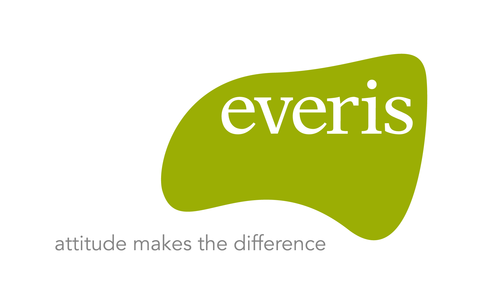 logo-everis